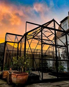 Greenhouse with setting sun.