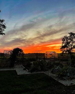 Sunset sky of garden