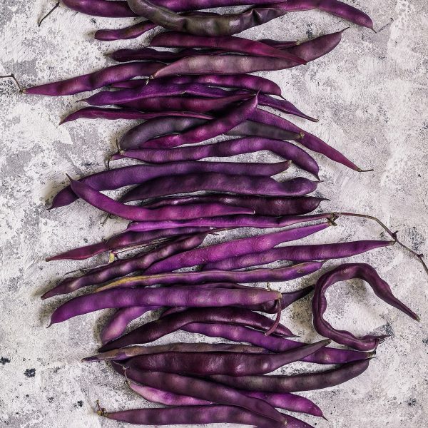 Many freshly picked purple bean pods on a table. Top view.