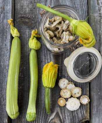 Courgette Long White 3