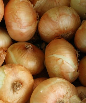 Onion Italian Flat 2