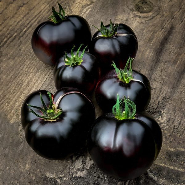 Tomato Black Beauty 1