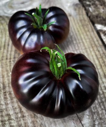 Tomato Black Beauty 3