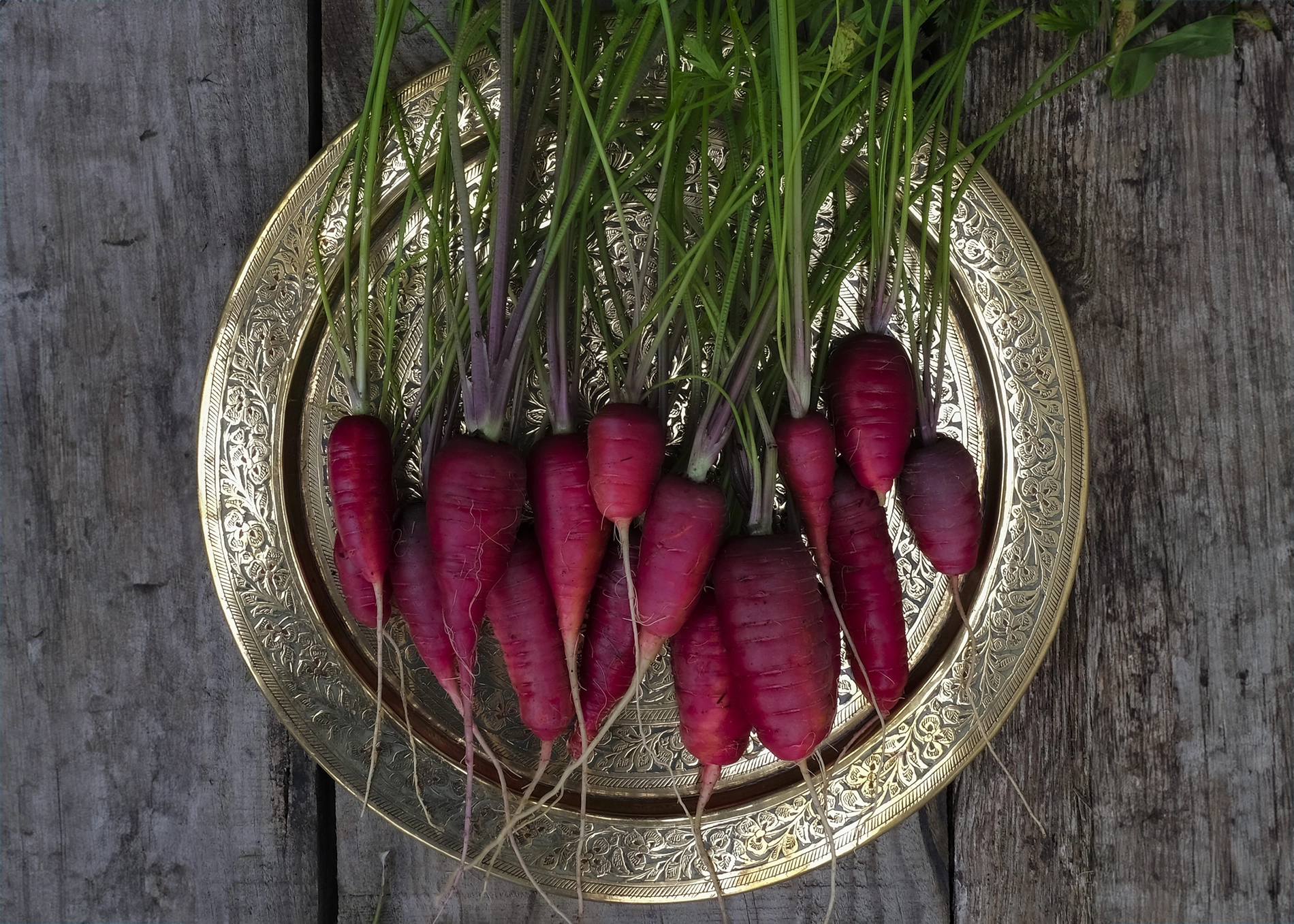 Atomic Red Carrot Heirloom Seeds