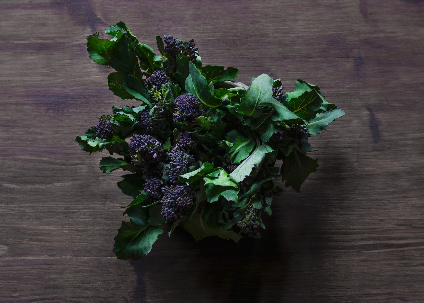 Purple Sprouting Broccoli Rudoplh