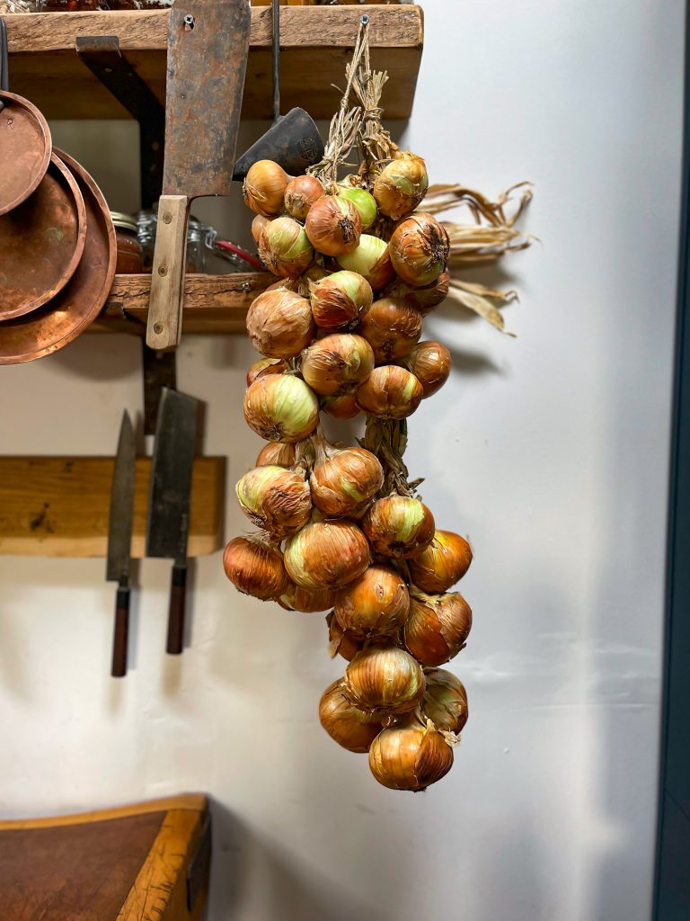 Hanging Perennial Onions Storage