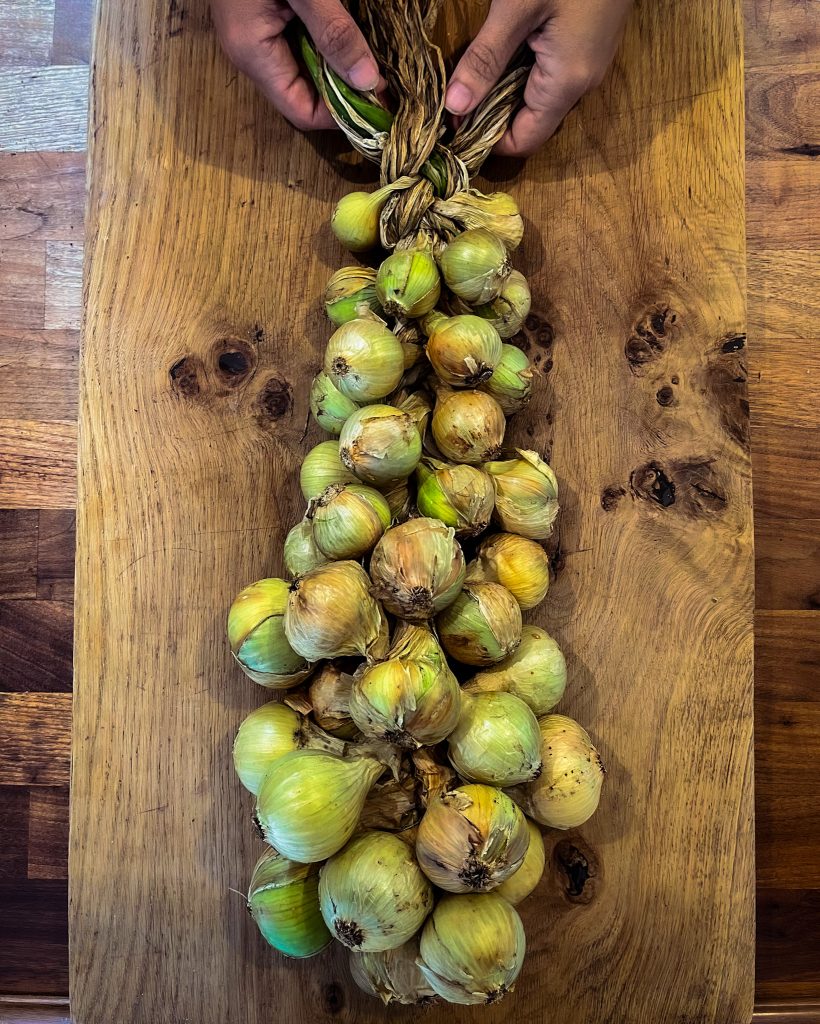 Rustic Perennials Onion Growing She Grows Veg