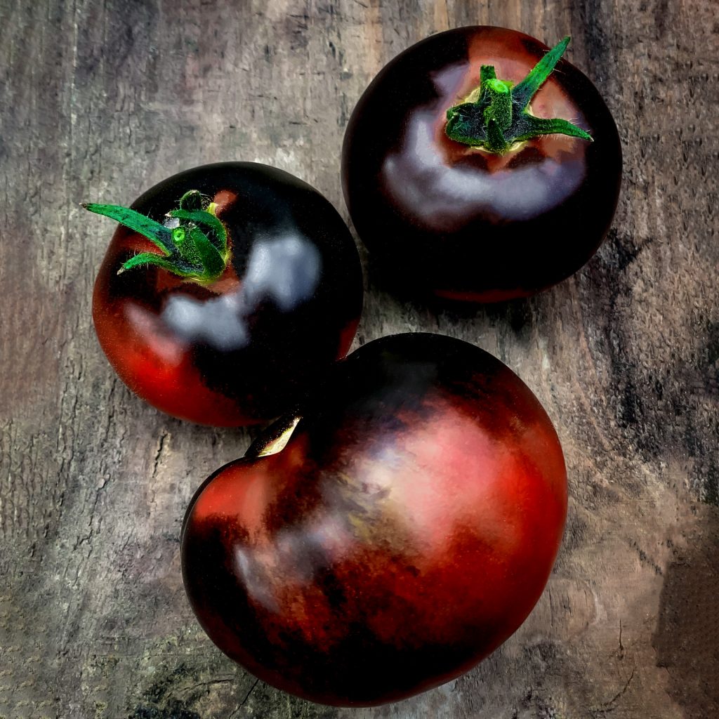 Tomato Indigo Rose