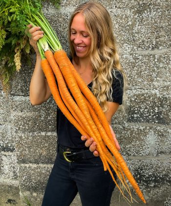 Carrots Manjapuki