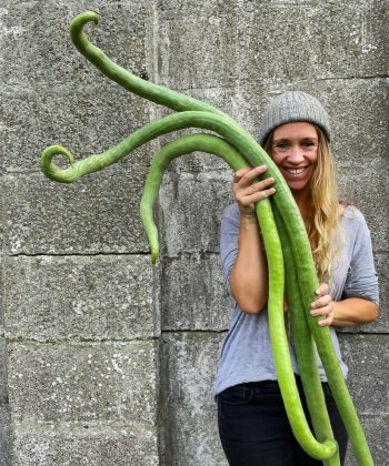 Gourd Snake Bean with Lucy holding them