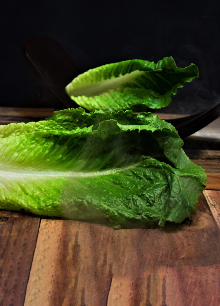 Cover-Lettuce-Arcade-CU8MdyE4pG4-unsplash-1-739x1024.jpg