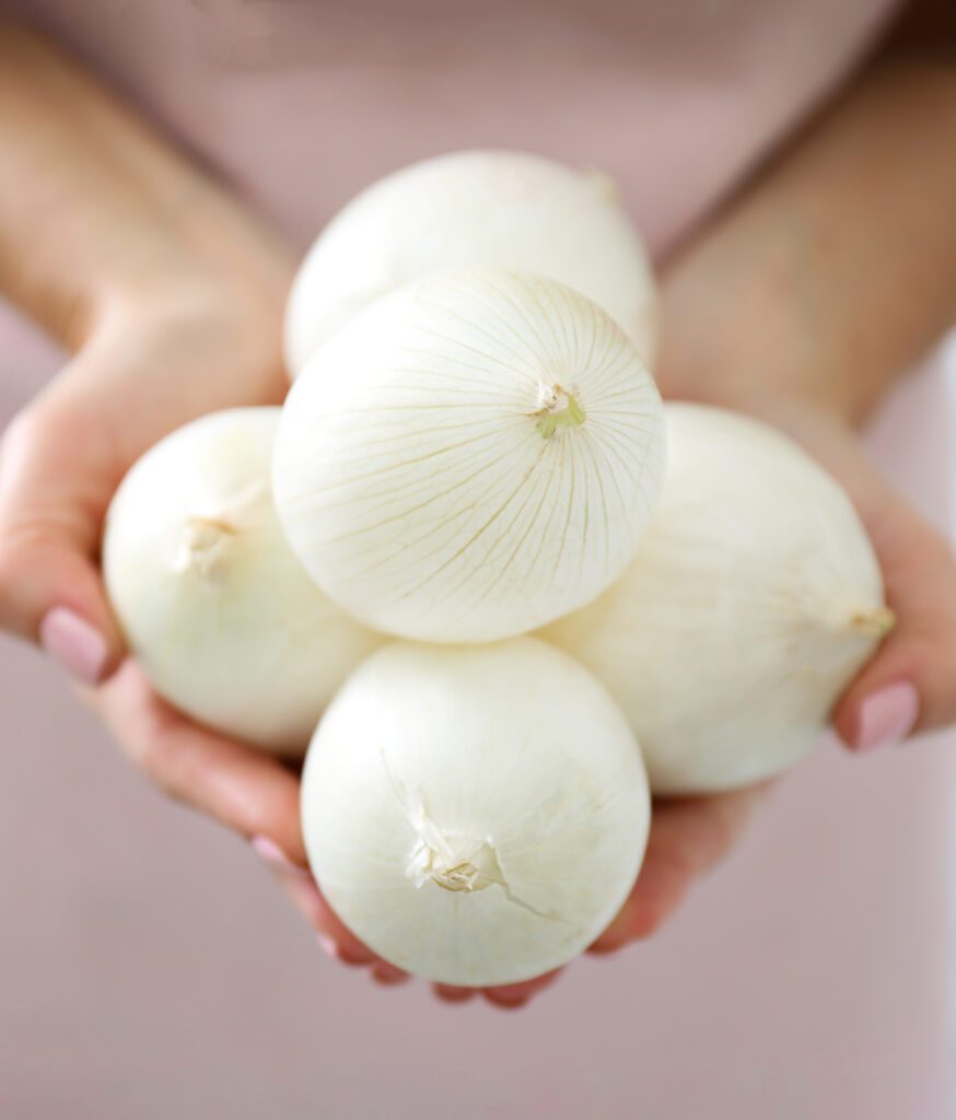 Onion-Bianca-Musona-cover-shutterstock_2193045385-874x1024.jpg
