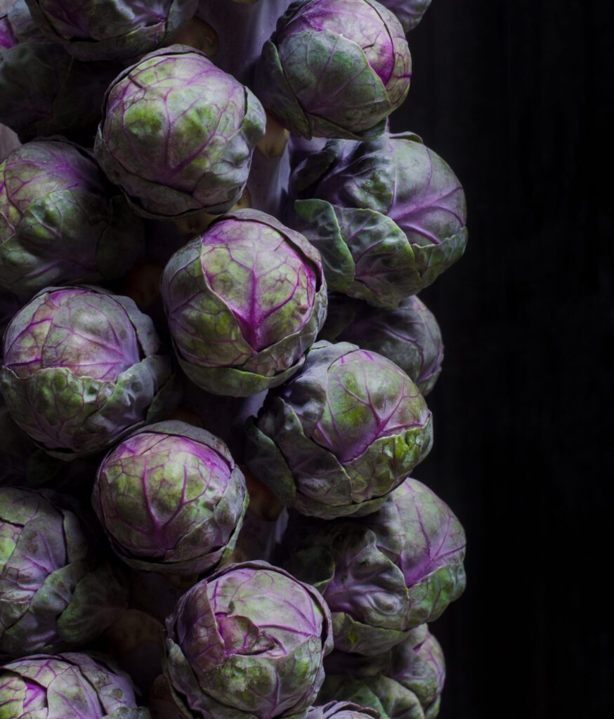 brussel sprout red bull