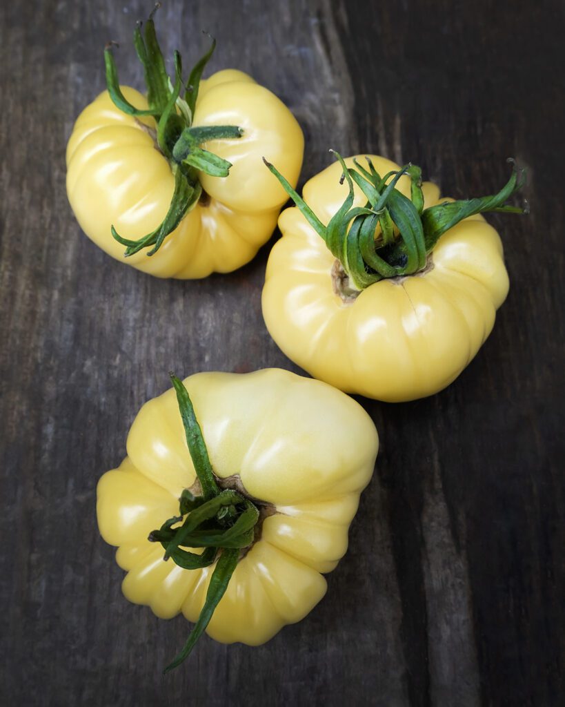 Great White Tomato