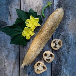 gourd luffa