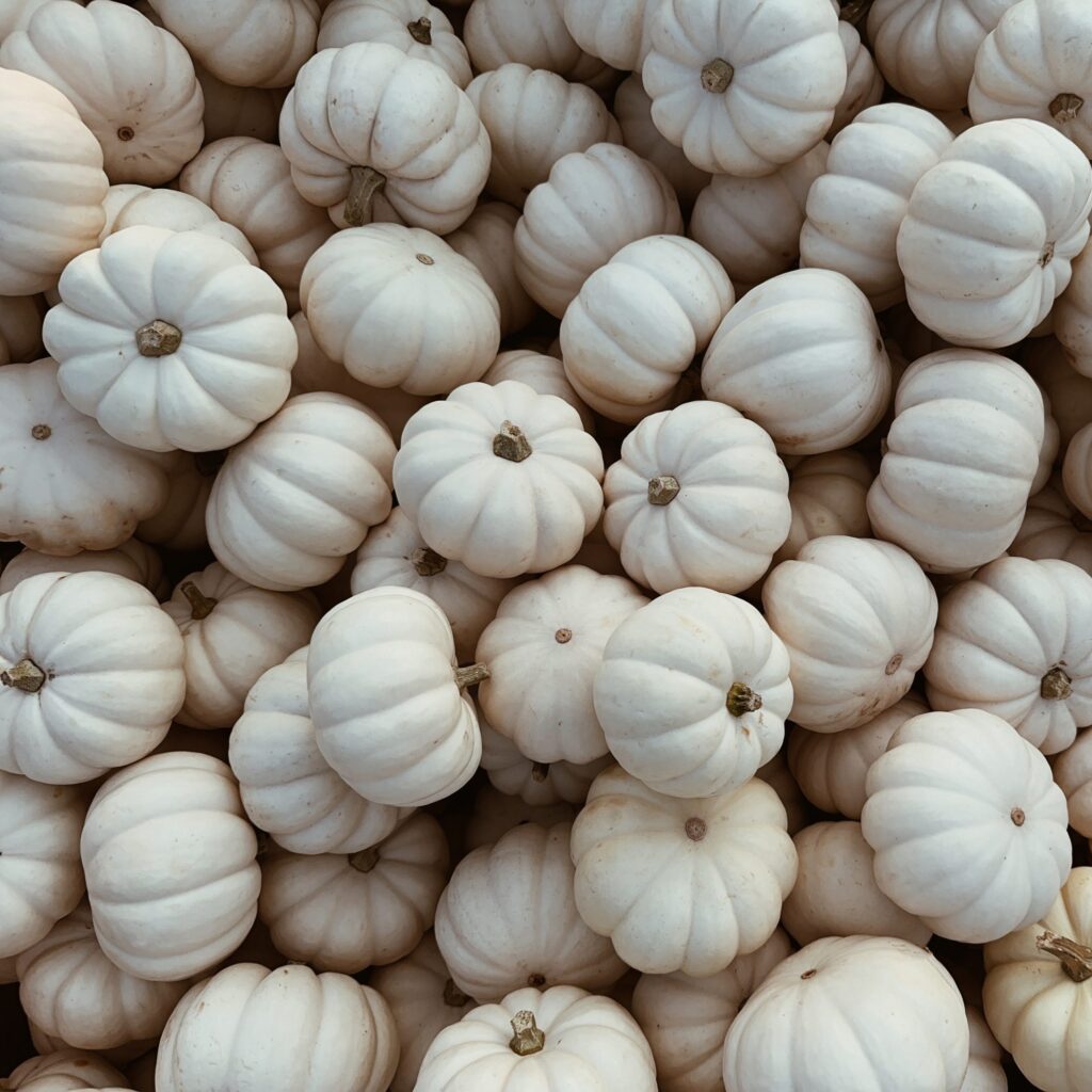 Squash Baby Boo