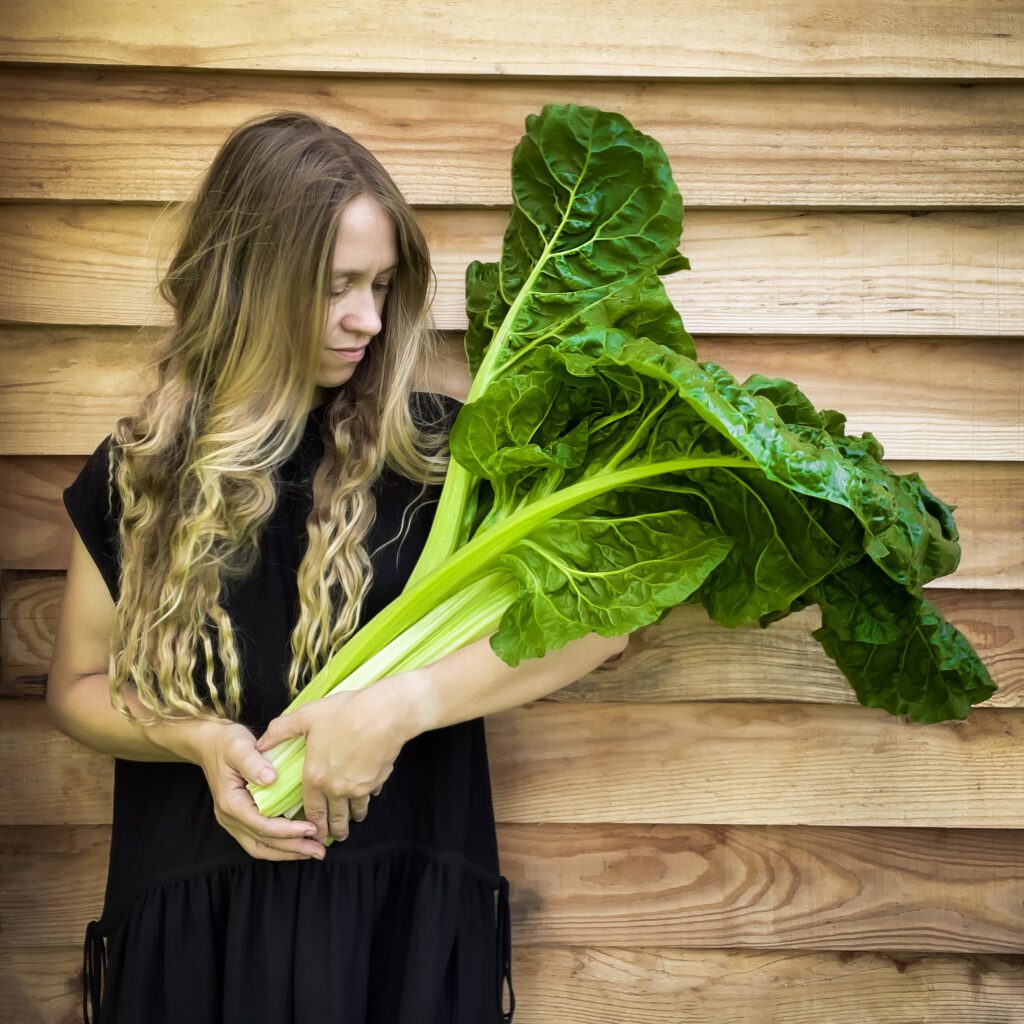 Chelsea Flower Show 2025 She Grows Veg