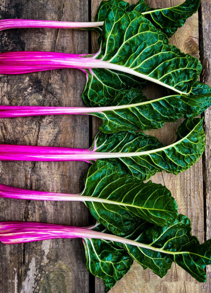 Cover-Swiss-Chard-Peppermint-image00038-1477x2048-1-739x1024.jpg