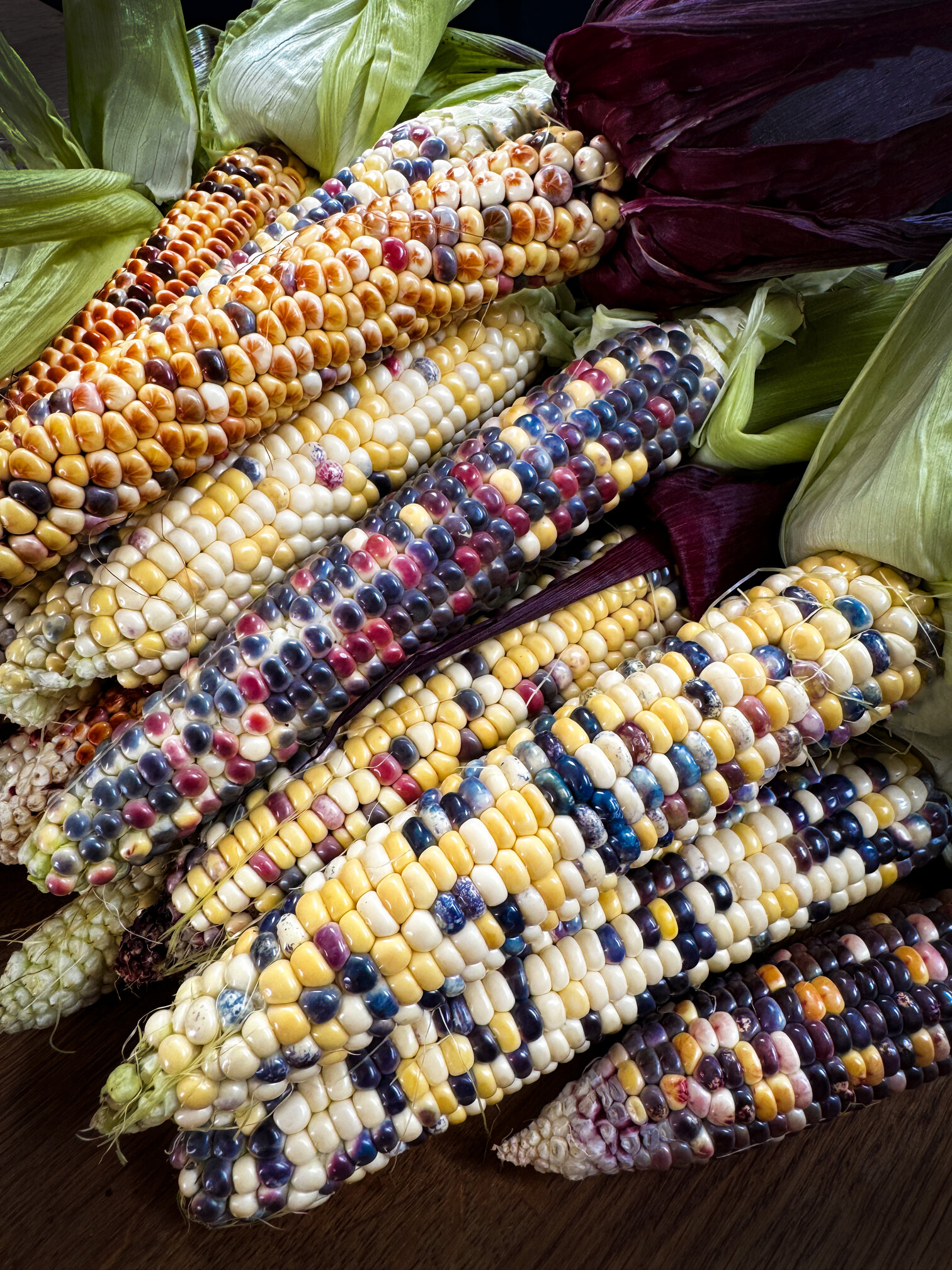 drying corn fiesta