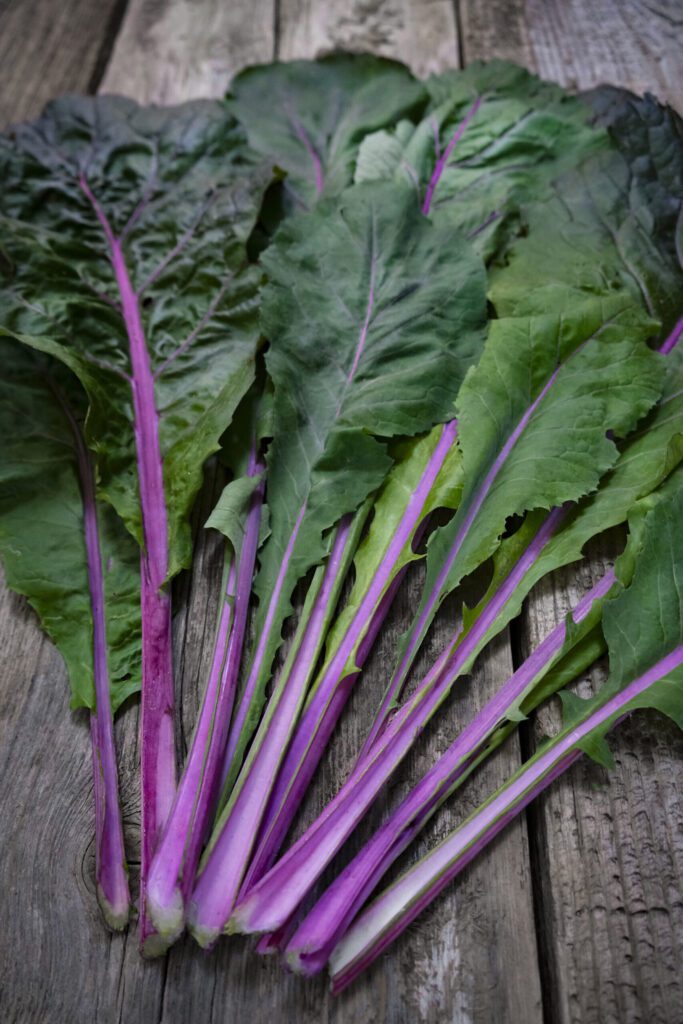 rsz_pak_choi_vivid_lah_2024_dsf3206-scaled-1-683x1024.jpg