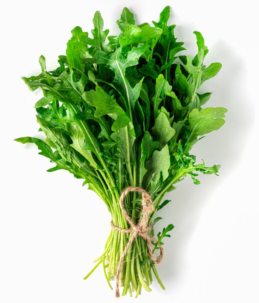 Rocket-Sweet-Oakleaf-cover-2118603746-874x1024.jpg