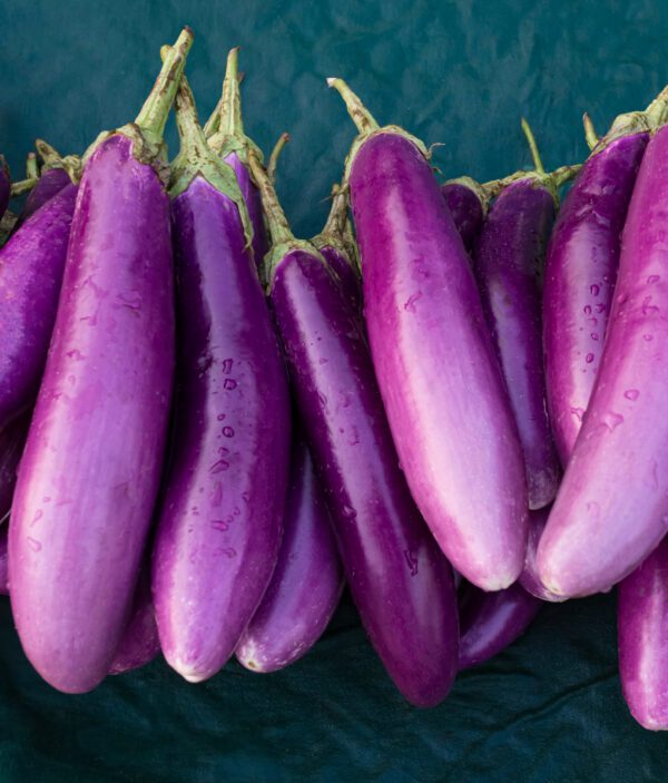 Aubergine Lilac Wand