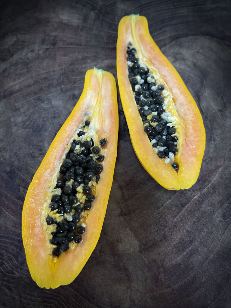 Edible-Houseplant-Papaya-LAH-2023-web-IMG_6704-768x1024.jpg