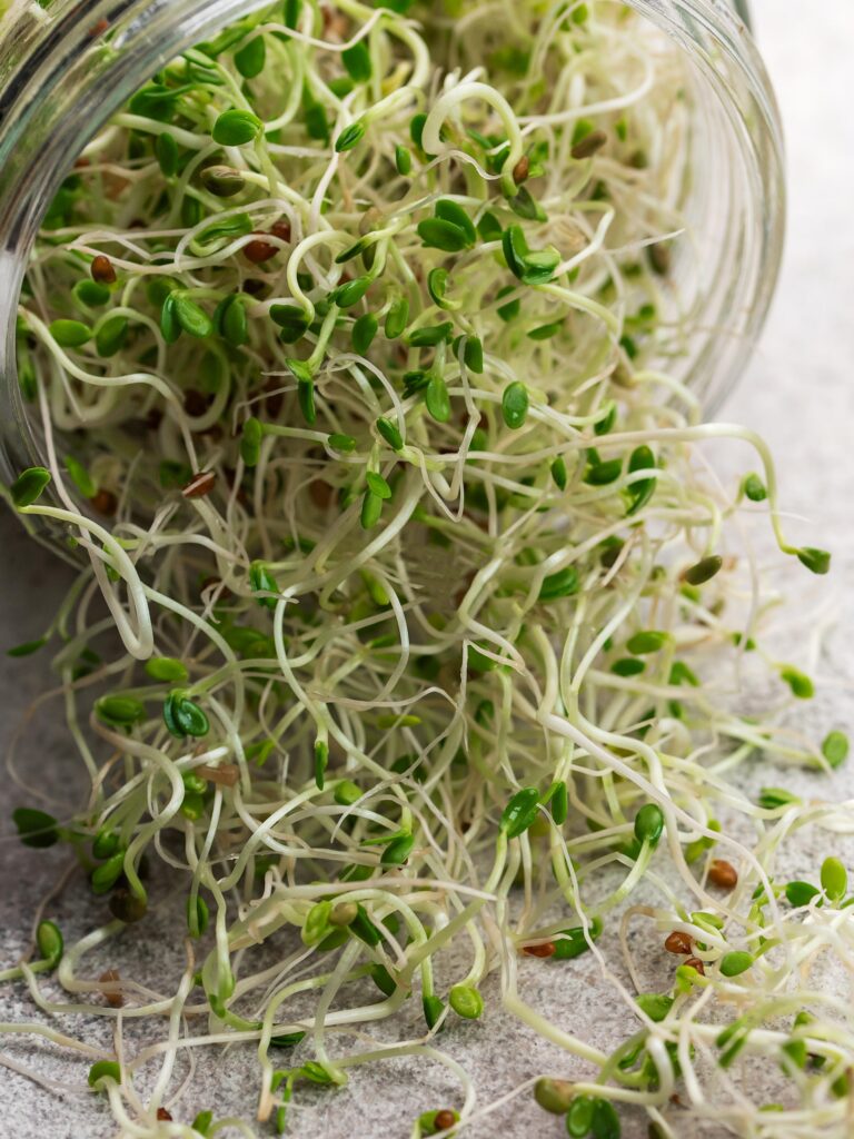 Microgreen-Alfalfa-Sprouts-web_2356689071-768x1024.jpg
