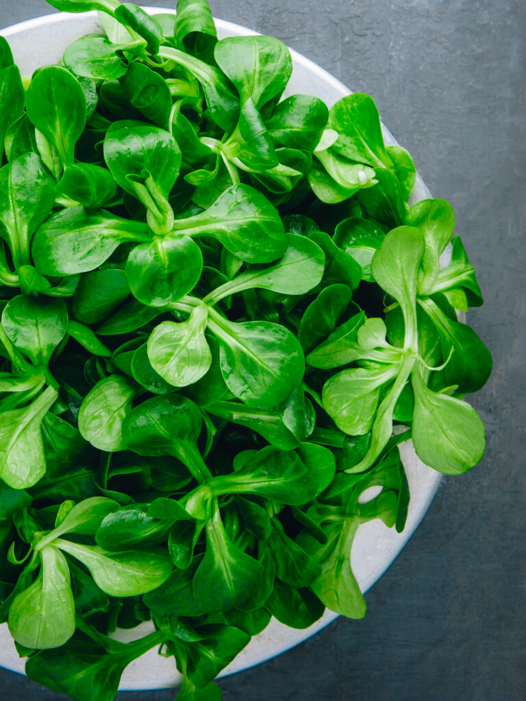 Winter-Lettuce-Lambs-Lettuce-web-2-_1220913415-768x1024.jpg