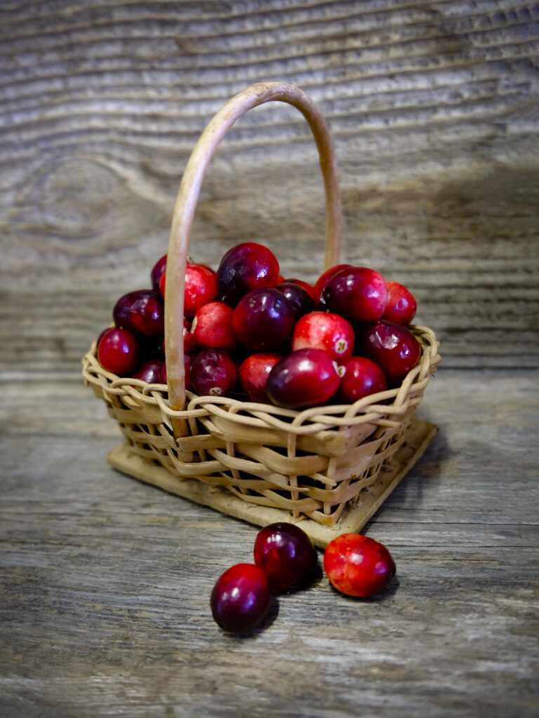 Garden-Berry-Cranberry-LAH-2025-web_DSF8691-1-768x1024.jpg