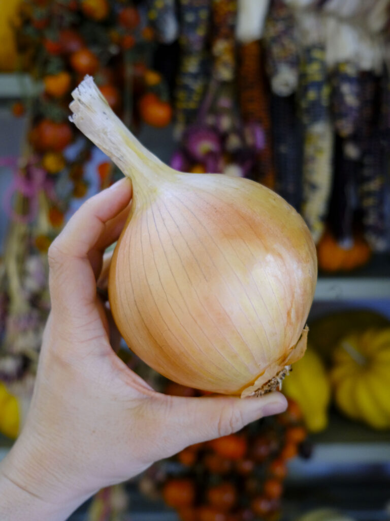 Onion-Aisla-Craig-LAH-2025-web-_DSF8808-768x1024.jpg