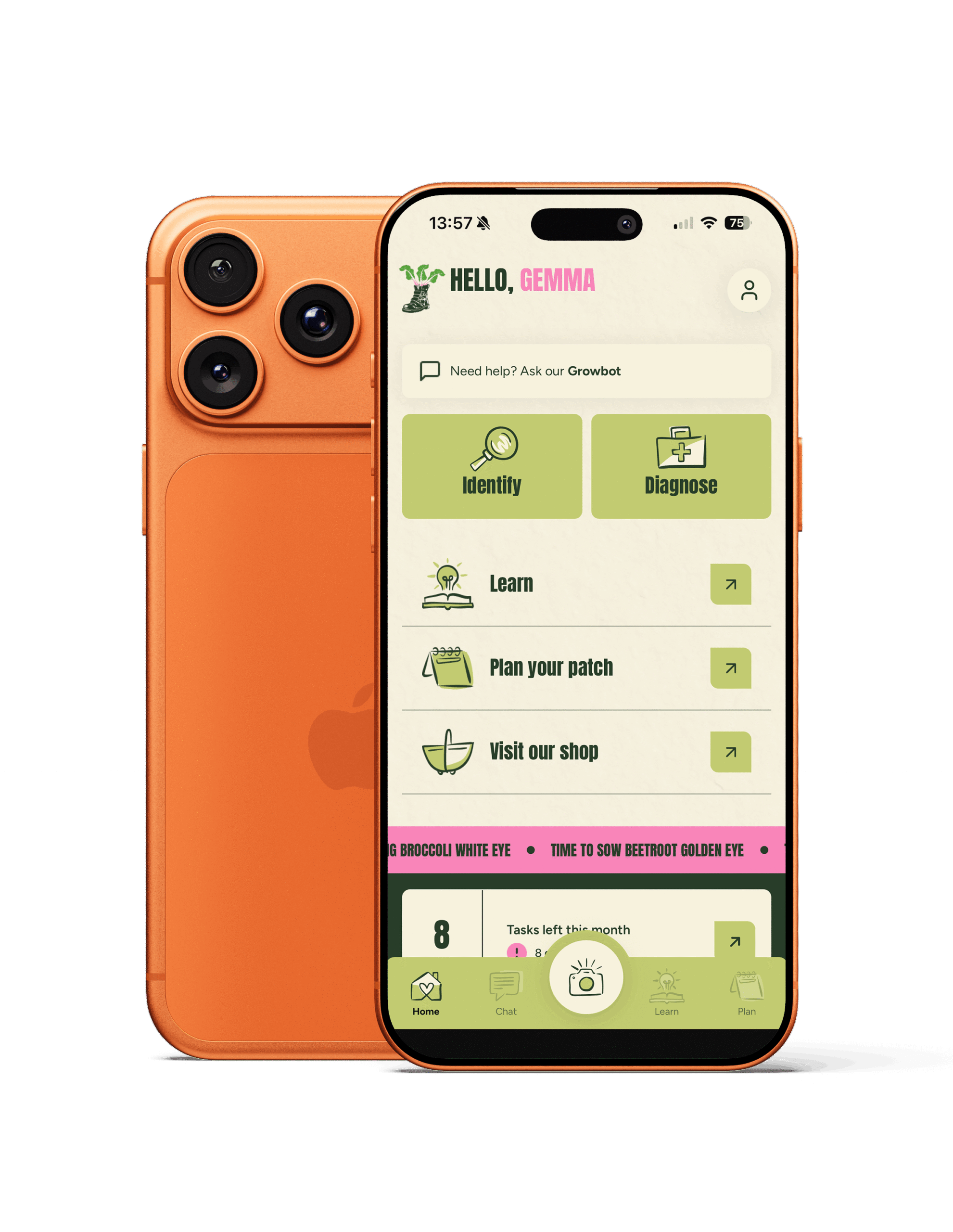 she grows veg app