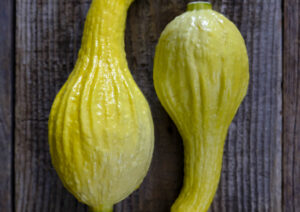 Courgette Summer Crookneck LAH 2025 web _DSF7586 scaled