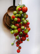 Storage Tomato Long Keeper LAH 2025 web _DSF8340 scaled