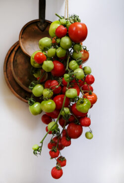 Storage Tomato Long Keeper LAH 2025 web _DSF8340 scaled