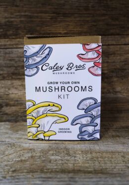 Garden 259 LAH 2025 web _DSF8587 scaled