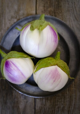 Aubergine Bianca Rosa LAH 2025 web _DSF7071 scaled