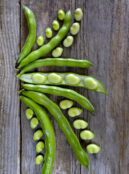 Broad Bean Dreadnaught LAH 2025 cover _DSF5516 scaled