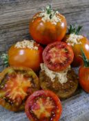 Tomato Brown Sugar LAH 2025 web_DSF6956 scaled