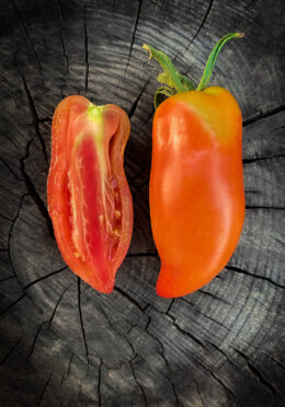 Cover Tomato Jersey Devil image00018