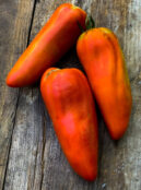 Tomato Jersey Devil LAH IMG_0452 scaled