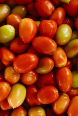 Tomato Hanging Prince 2 scaled 1