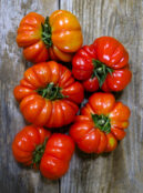 Tomato Costoluto Genevese LAH 2025 web _DSF6977 scaled
