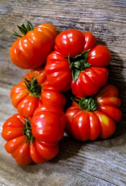 Tomato Costoluto Genevese LAH 2025 web _DSF6973 scaled