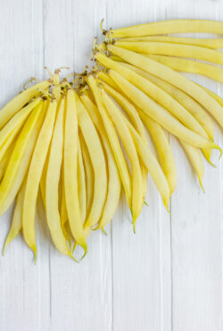 Bean Golden Gate 2 1