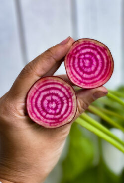 rsz_1beetroot_chioggia_lah_img_9106_jpg