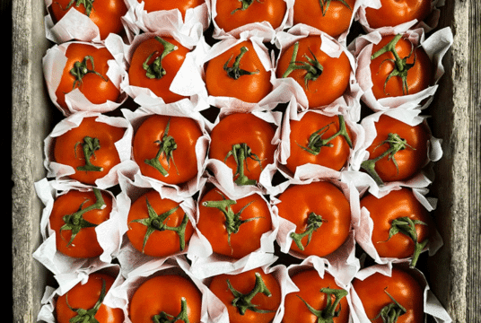Storage Tomato Long Keeper web IMG_0768 1536x2048 min