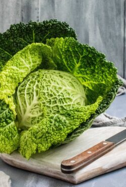 Cabbage Aubervilliers 1 scaled 1