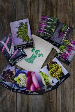 Gift Pack Allotment Starter LAH 2025 web_DSF8622 scaled 1
