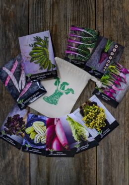 Gift Pack Allotment Starter LAH 2025 web_DSF8622 scaled 1